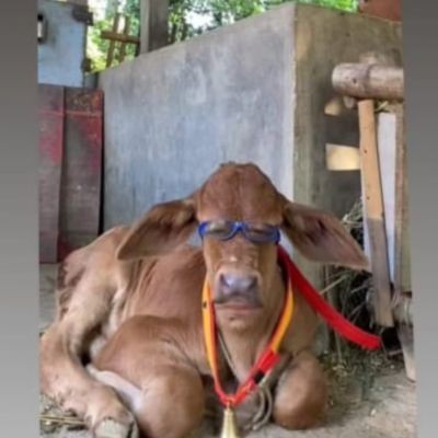 ? Guruji ?? 1 बार मौका दीजिए